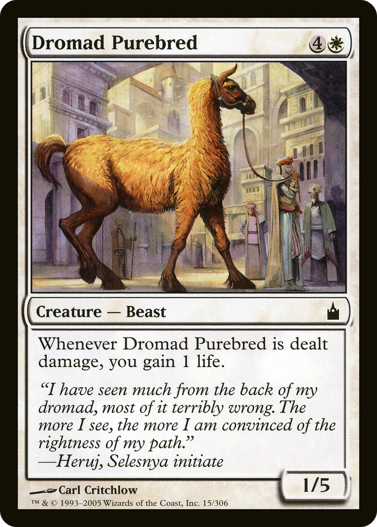 Dromad Purebred (015) - Ravnica: City of Guilds