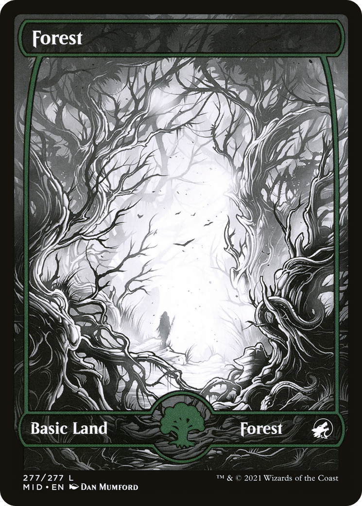Forest (277) Foil - Innistrad: Midnight Hunt