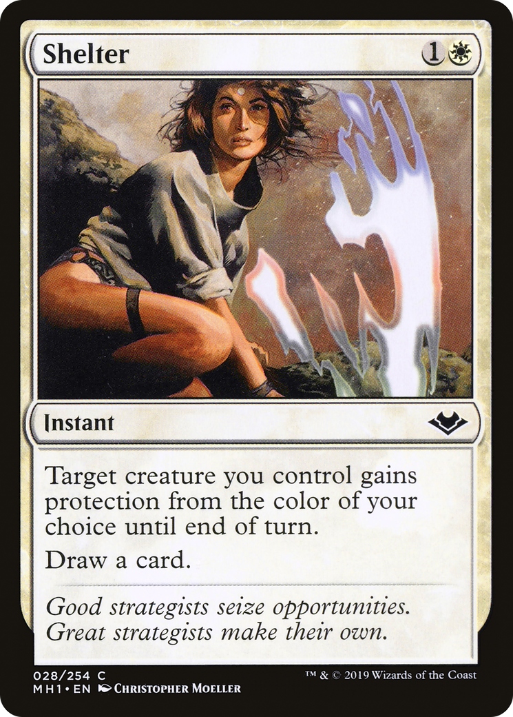 Shelter (028) - Modern Horizons