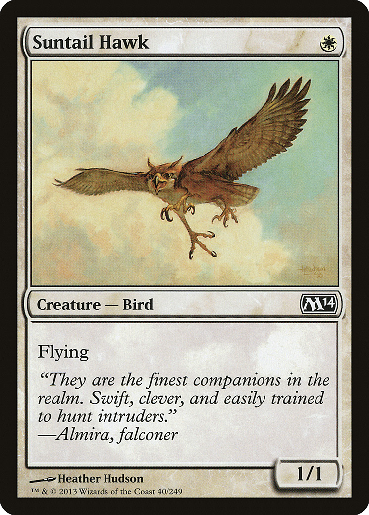 Suntail Hawk (040) - Magic 2014