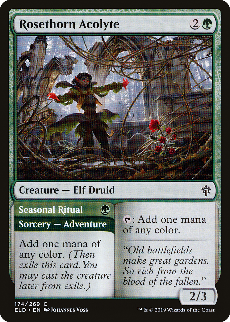 Rosethorn Acolyte (174) Foil - Throne of Eldraine