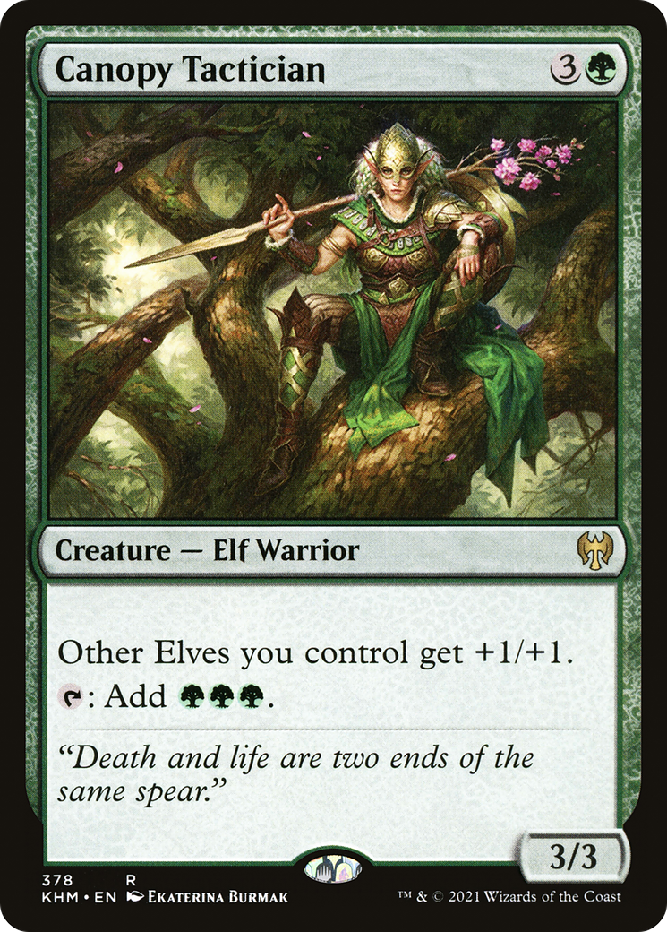Canopy Tactician (378) - Kaldheim