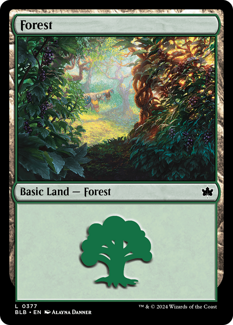 Forest (377) - Bloomburrow