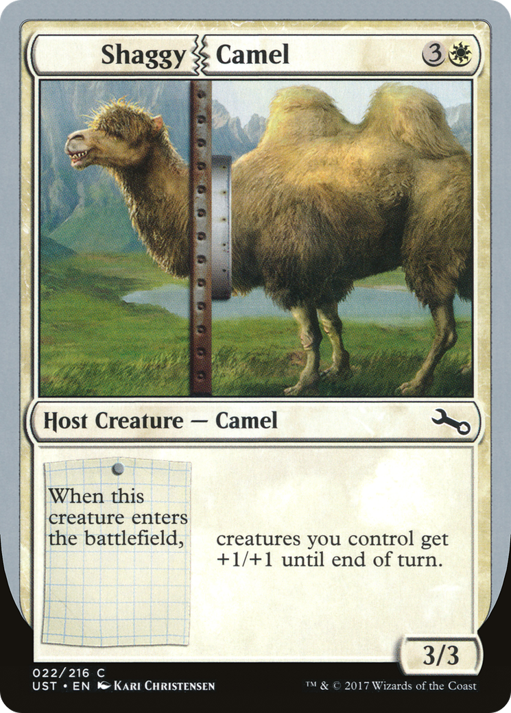 Shaggy Camel (022) - Unstable