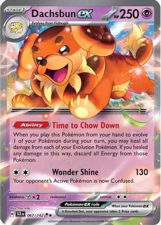 Dachsbun ex - 067/142 (67) Holofoil - SV07 Stellar Crown