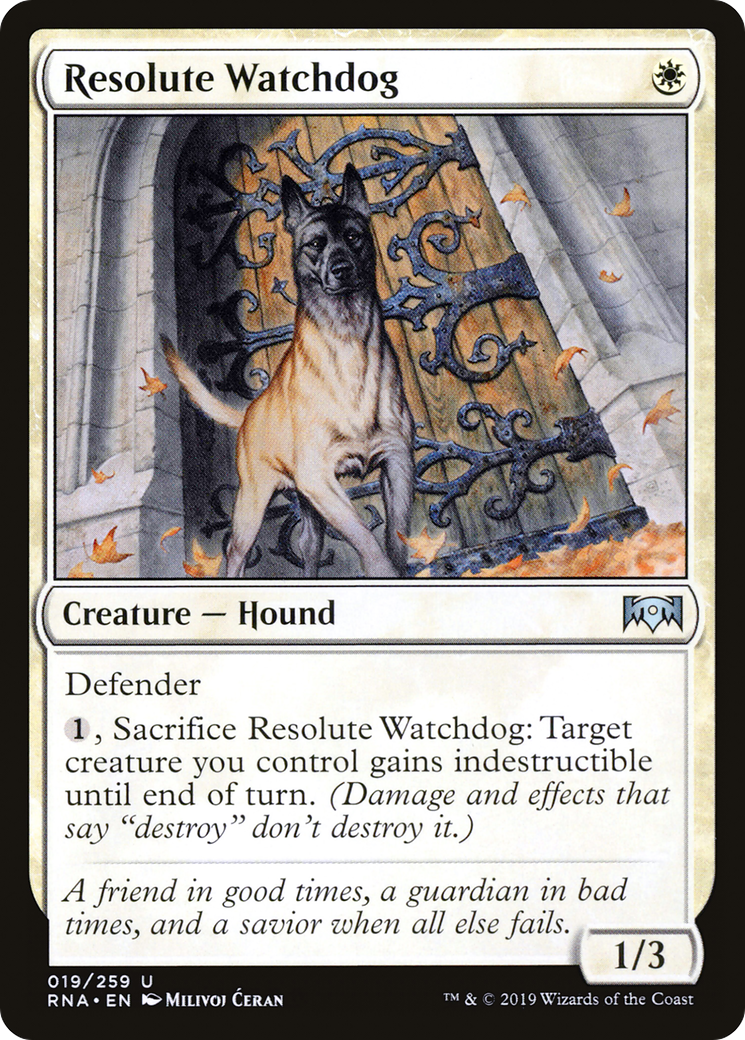 Resolute Watchdog (019) Foil - Ravnica Allegiance