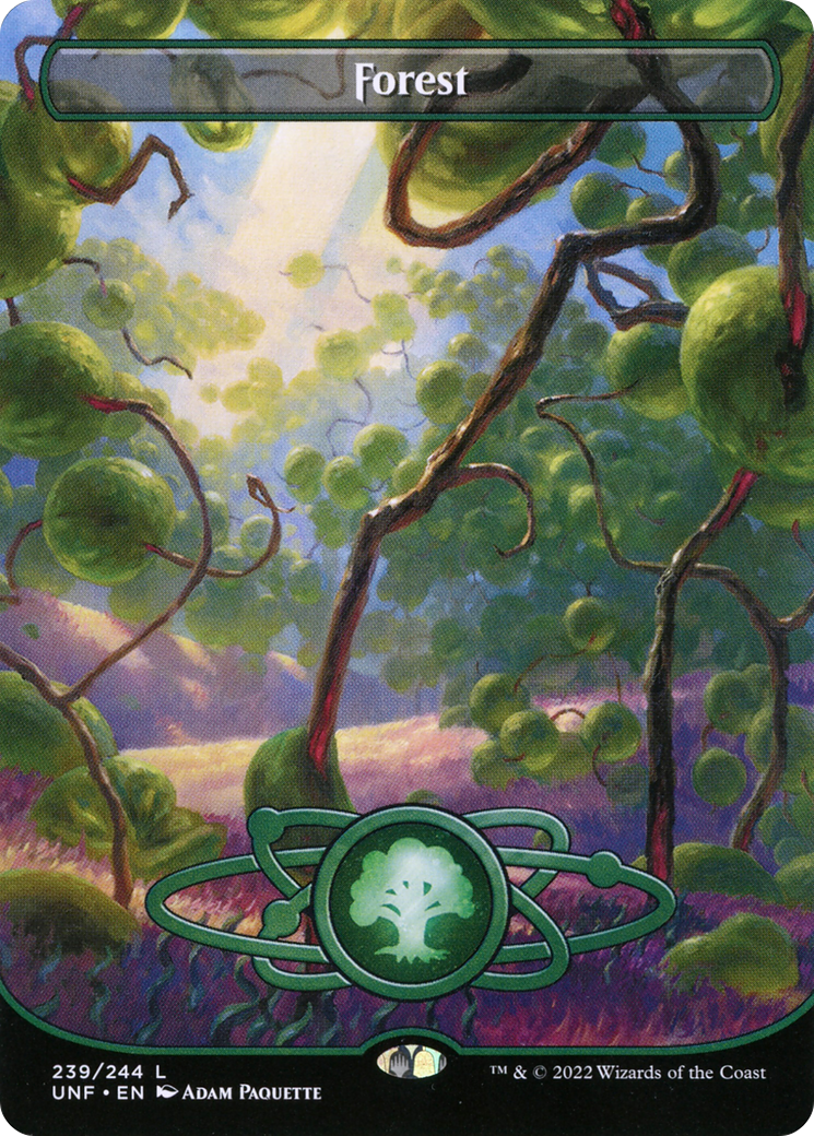 Forest (Borderless) (239) - Unfinity