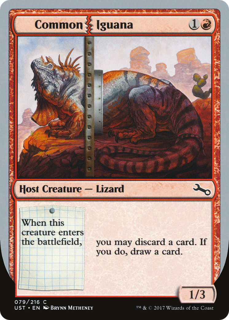Common Iguana (079) - Unstable