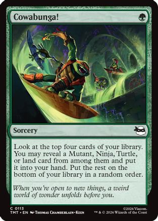 Cowabunga! (113) Foil - Teenage Mutant Ninja Turtles