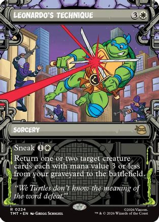 Leonardo's Technique (Showcase) (224) - Teenage Mutant Ninja Turtles