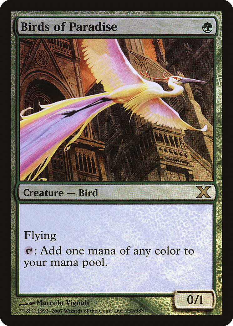 Birds of Paradise (252) Foil - Tenth Edition