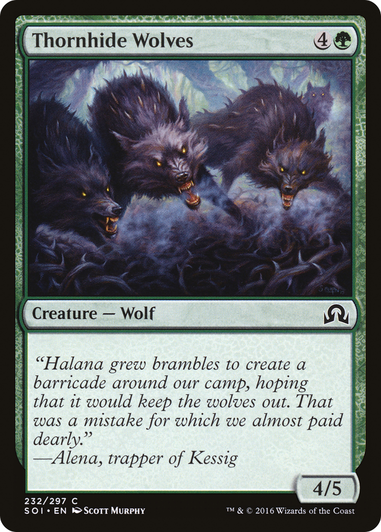 Thornhide Wolves (232) Foil - Shadows over Innistrad