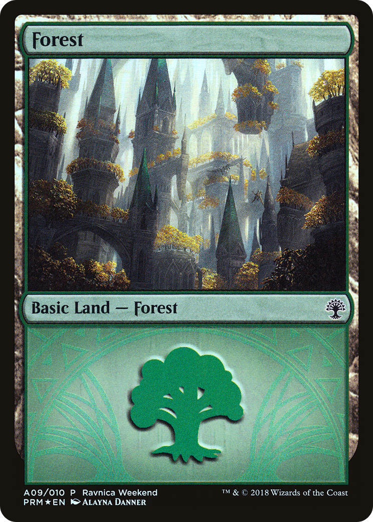 Forest (A09) Foil - GRN Ravnica Weekend