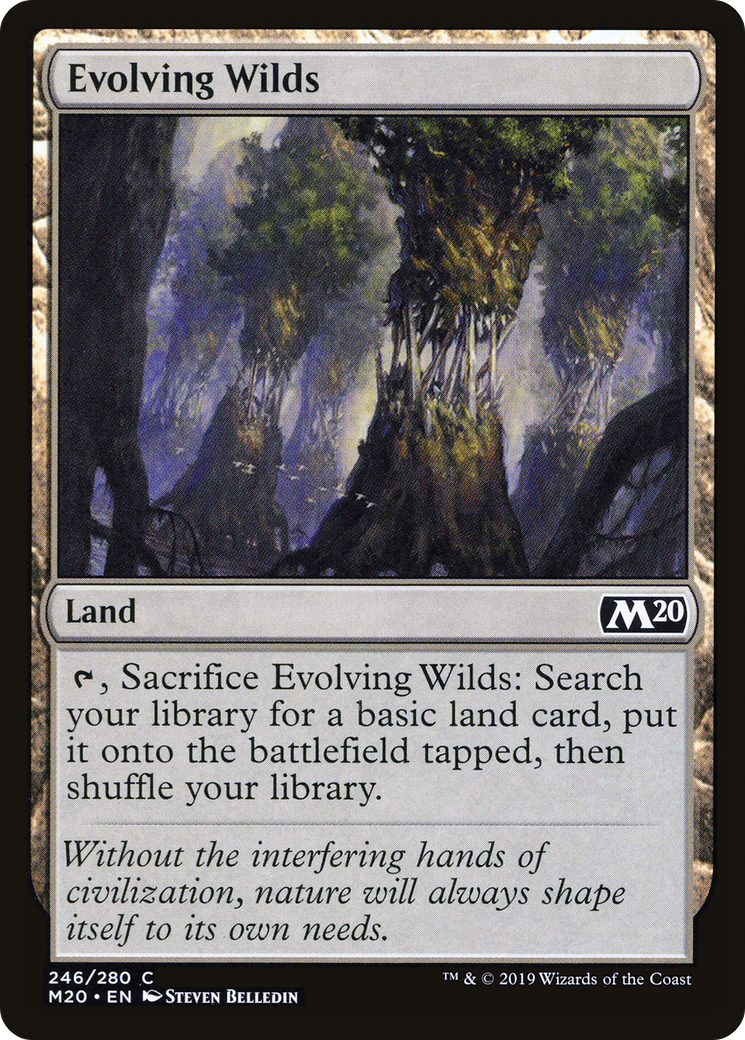 Evolving Wilds (246) - Core Set 2020