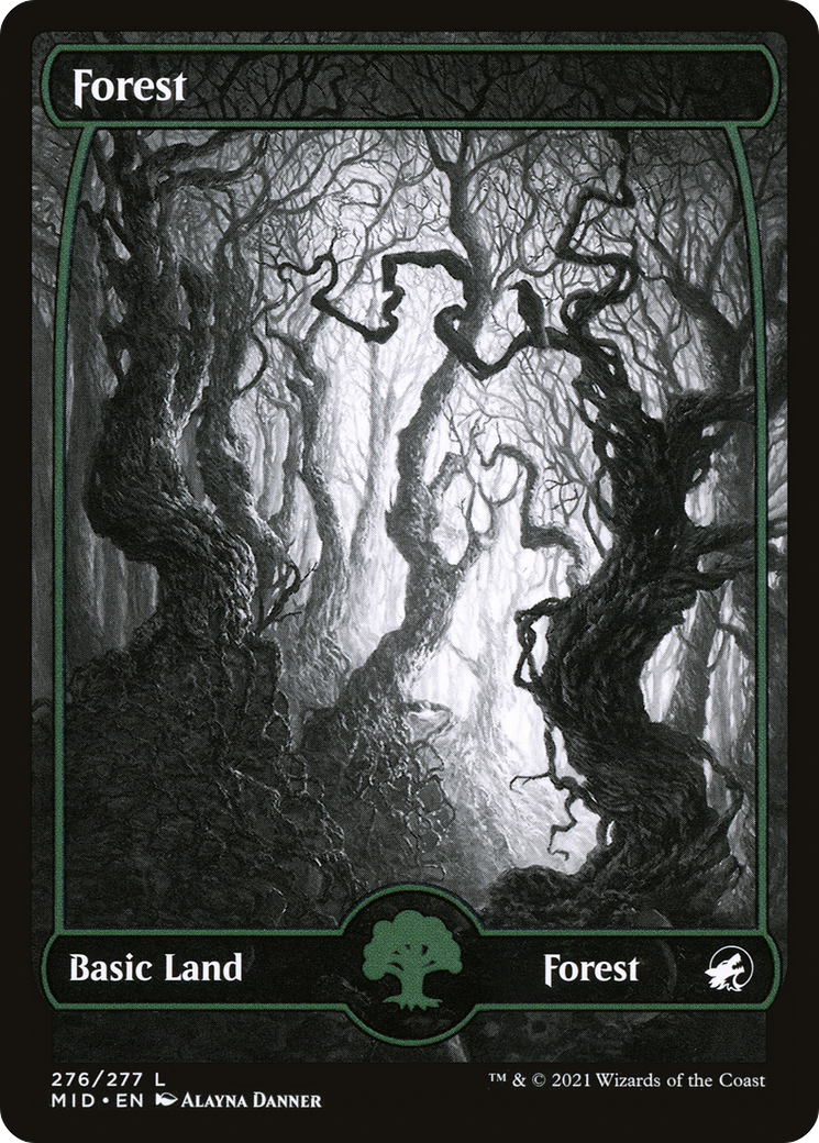 Forest (276) Foil - Innistrad: Midnight Hunt