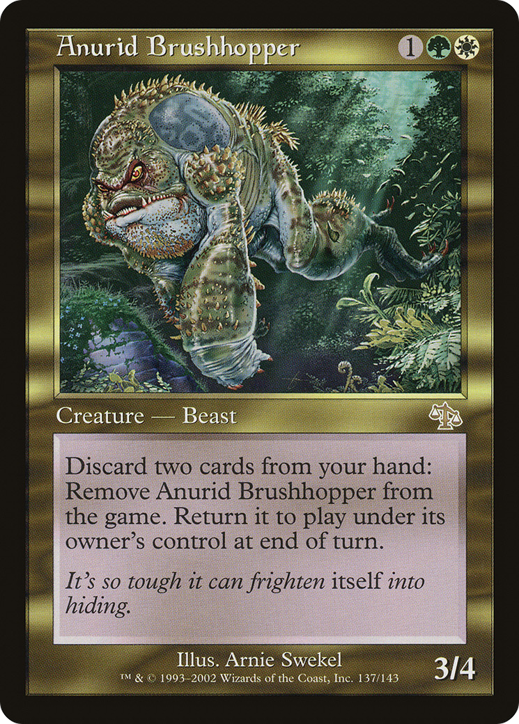 Anurid Brushhopper (137) - Judgment