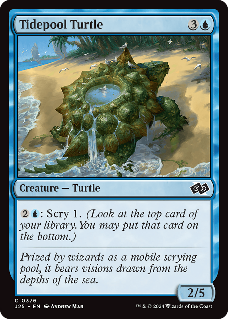 Tidepool Turtle (376) - Foundations Jumpstart