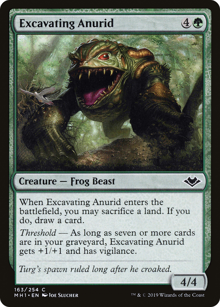 Excavating Anurid (163) - Modern Horizons