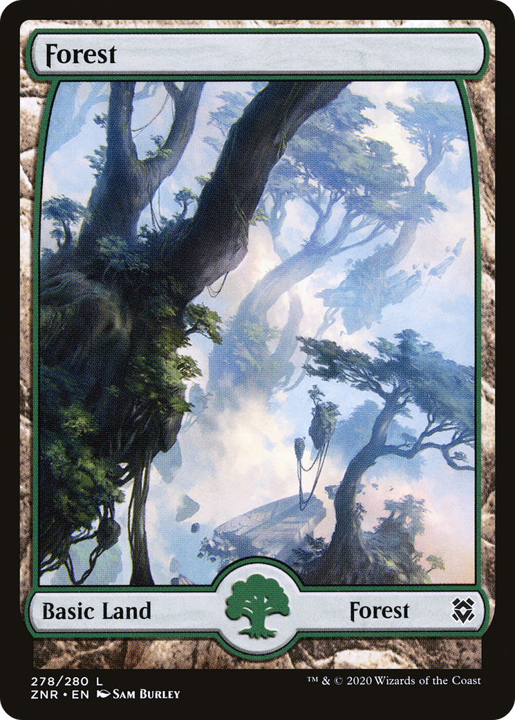 Forest – Full Art (278) Foil - Zendikar Rising