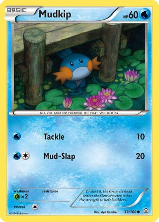 Mudkip (33) - Primal Clash