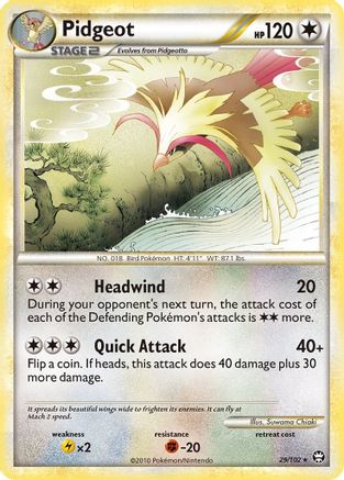 Pidgeot (29) - Triumphant