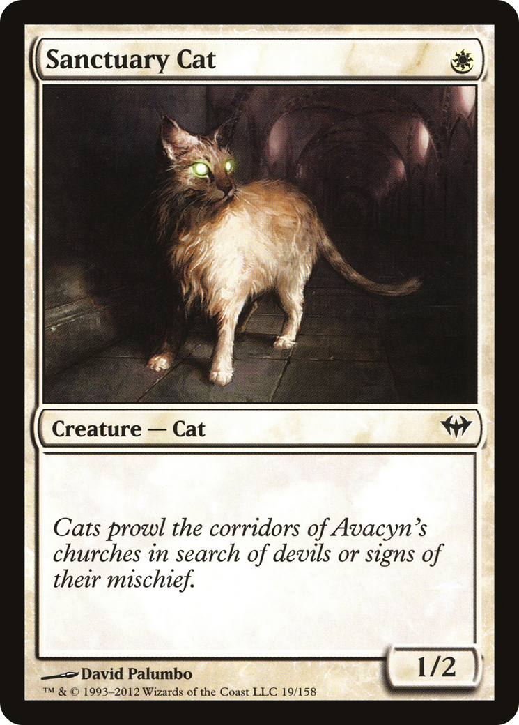 Sanctuary Cat (019) Foil - Dark Ascension