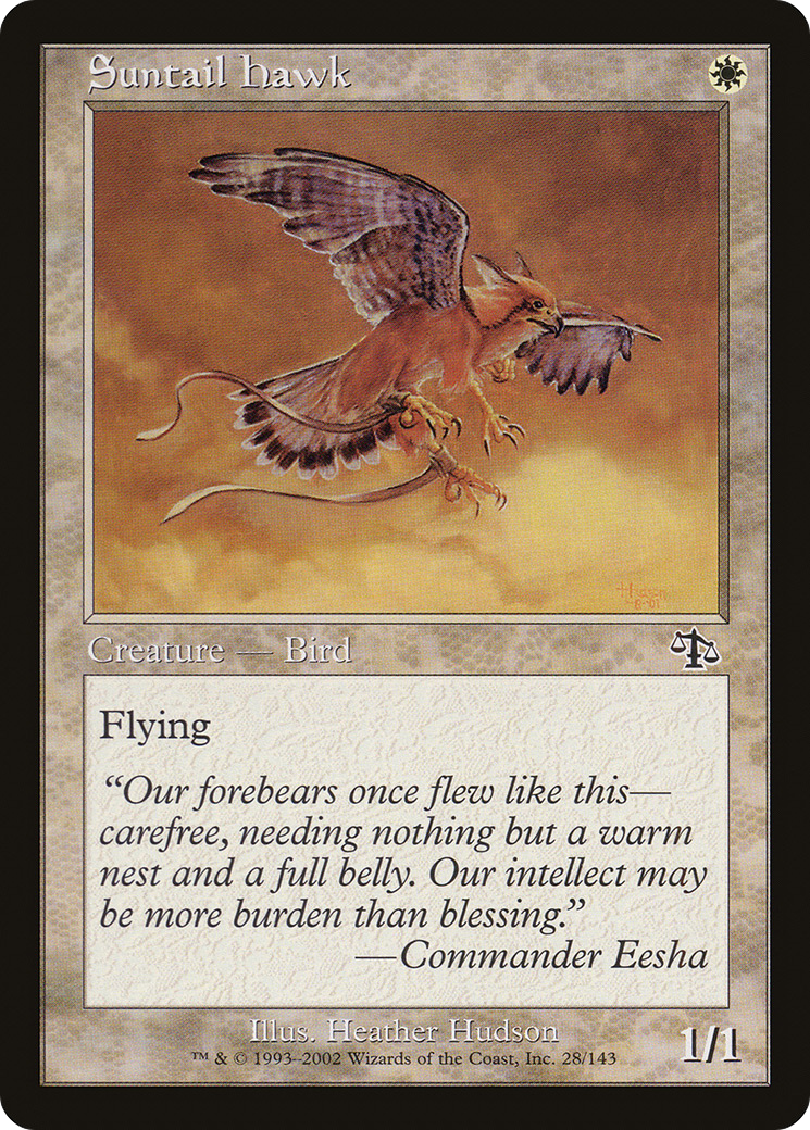 Suntail Hawk (028) - Judgment