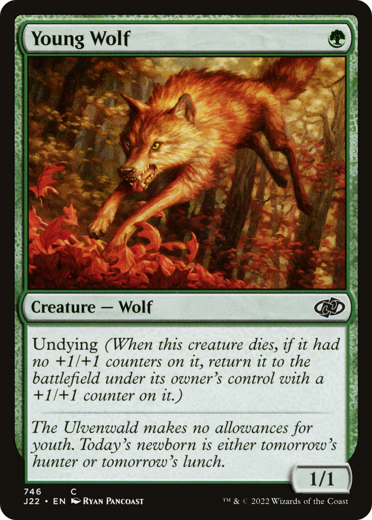 Young Wolf (746) - Jumpstart 2022