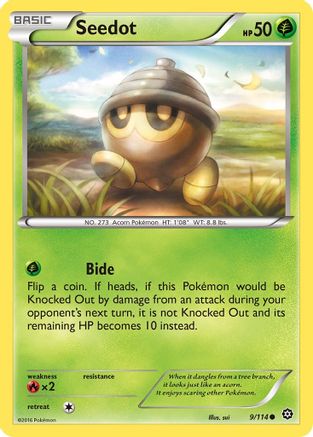 Seedot (9/114) [XY: Steam Siege] Reverse Holofoil