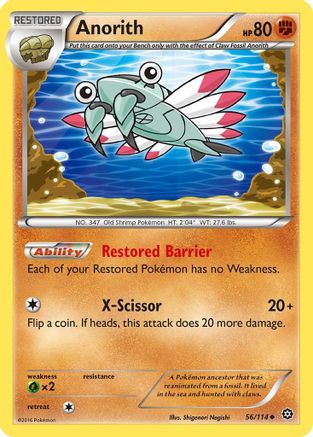 Anorith (56) Reverse Holofoil - XY  Steam Siege