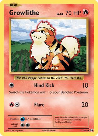 Growlithe (17) - XY  Evolutions