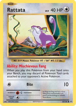 Rattata (66/108) [XY: Evolutions] Reverse Holofoil