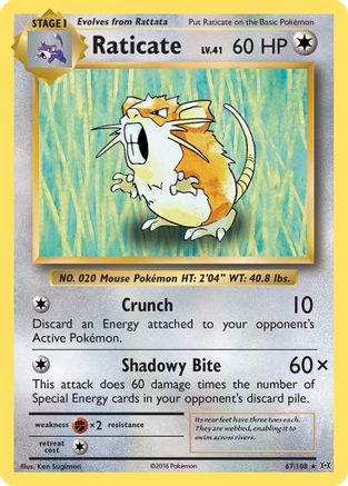 Raticate (67/108) [XY: Evolutions] Reverse Holofoil