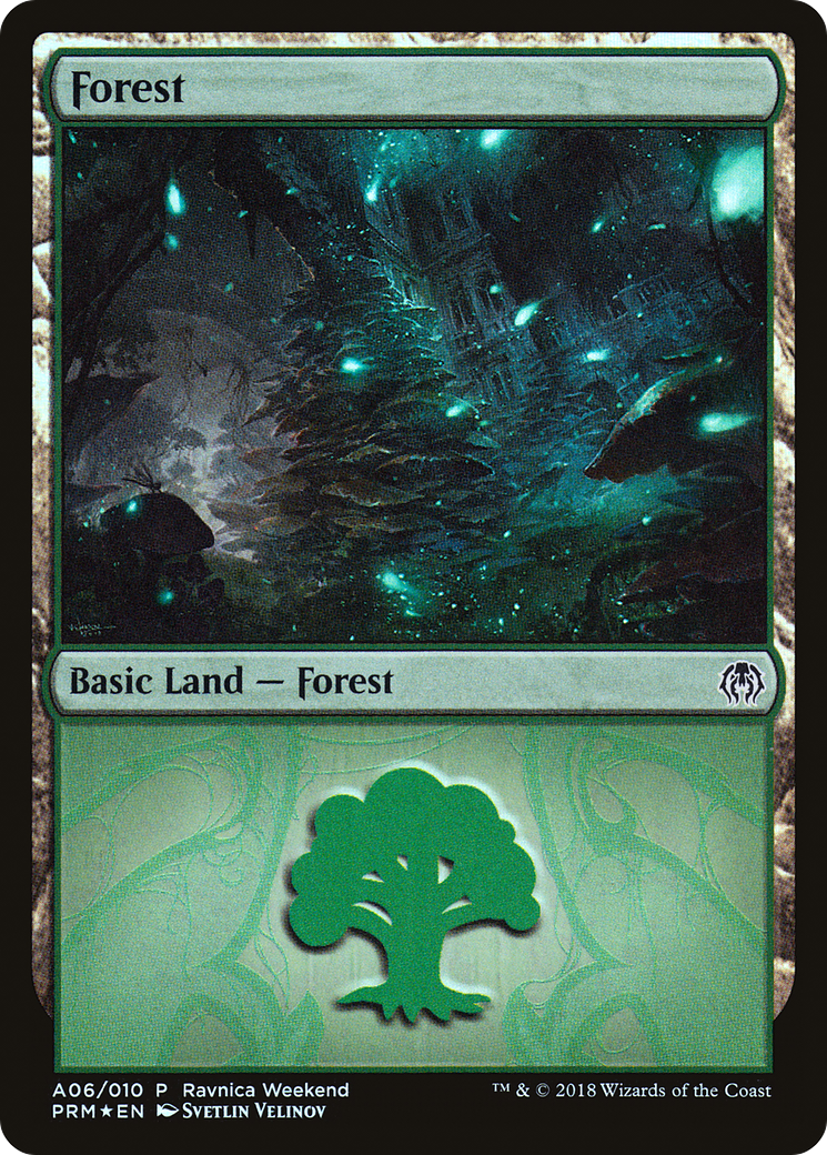 Forest (A06) Foil - GRN Ravnica Weekend