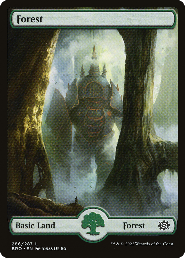 Forest – Full Art (286) - The Brothers' War