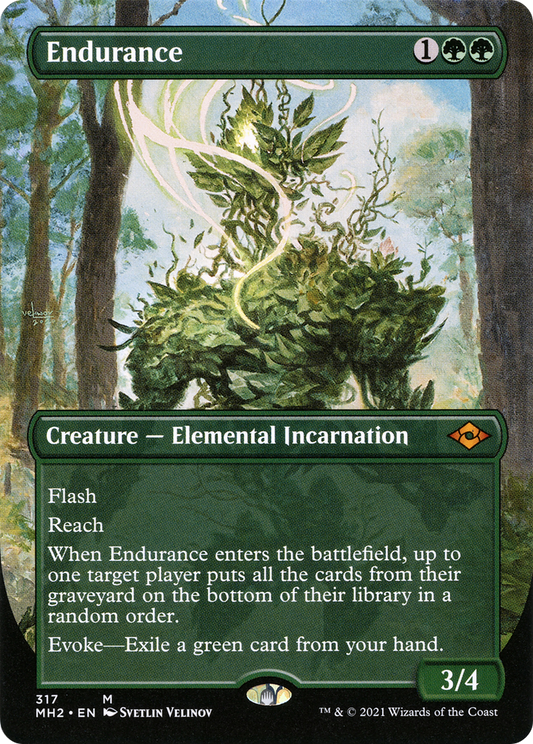 Endurance (Borderless) (317) - Modern Horizons 2