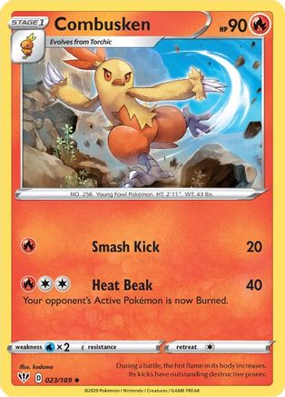 Combusken (23) - SWSH03 Darkness Ablaze