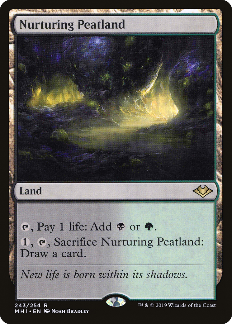 Nurturing Peatland (243) Foil - Modern Horizons