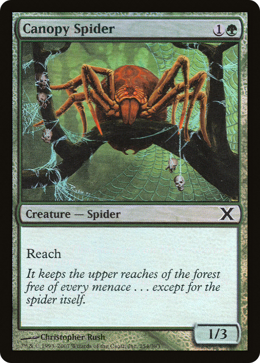 Canopy Spider (254) Foil - Tenth Edition