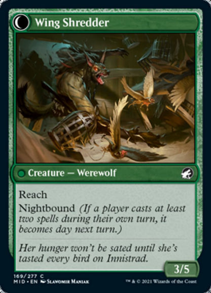 Bird Admirer (169) Foil - Innistrad: Midnight Hunt