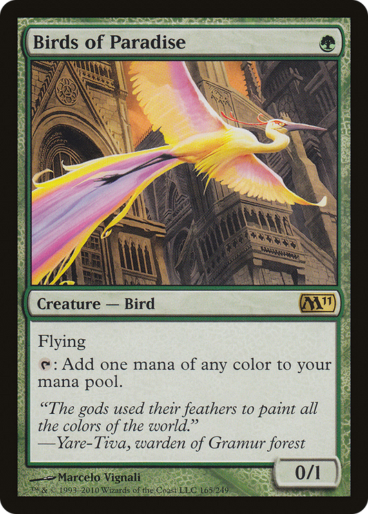 Birds of Paradise (165) - Magic 2011