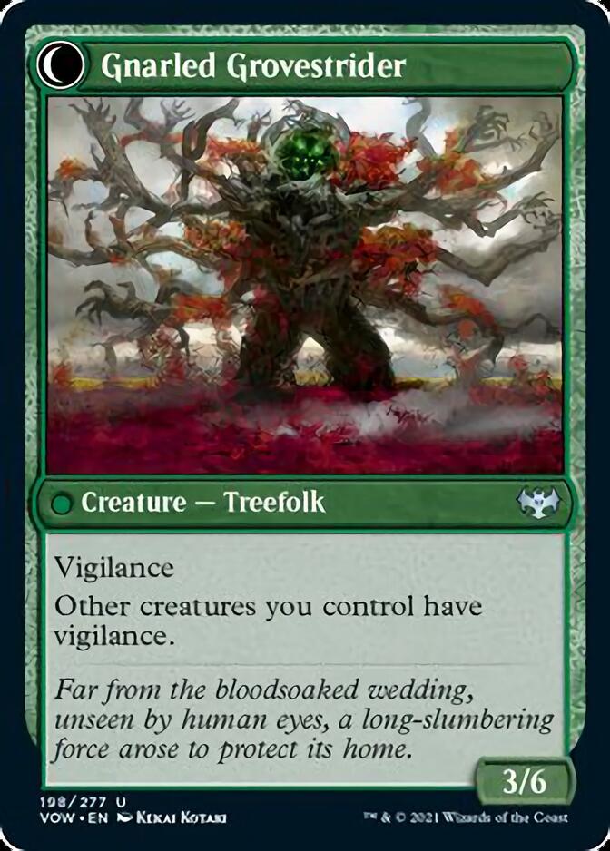 Dormant Grove // Gnarled Grovestrider (198) - Innistrad: Crimson Vow