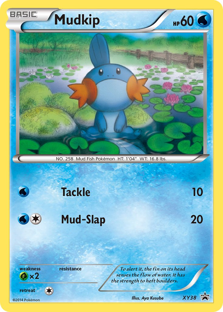 Mudkip (XY38) [XY: Black Star Promos] | Silver Goblin