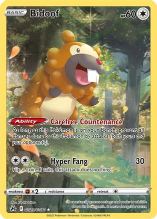 Bidoof (GG29) Holofoil - Crown Zenith Galarian Gallery
