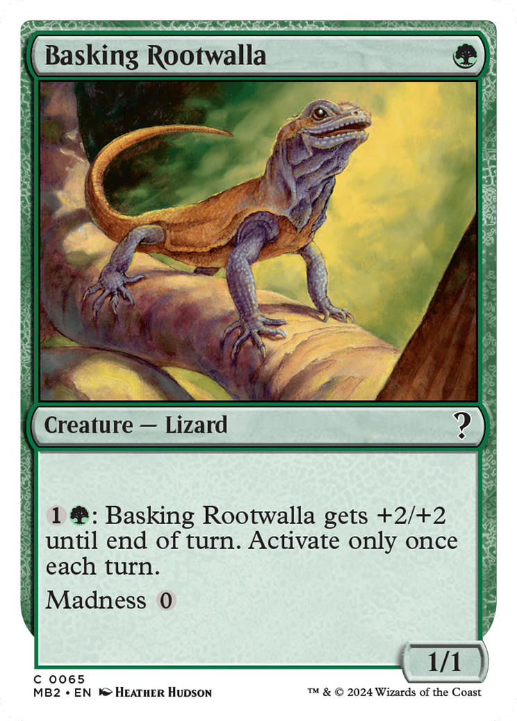 Basking Rootwalla (065)