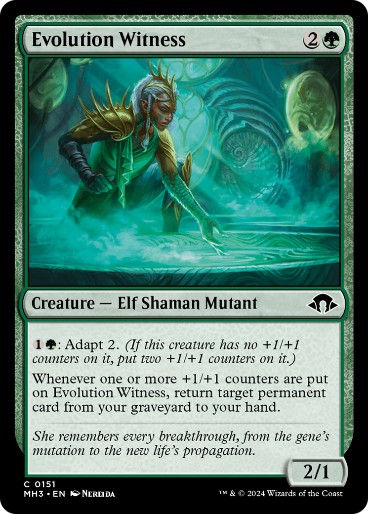 Evolution Witness (151) Foil - Modern Horizons 3