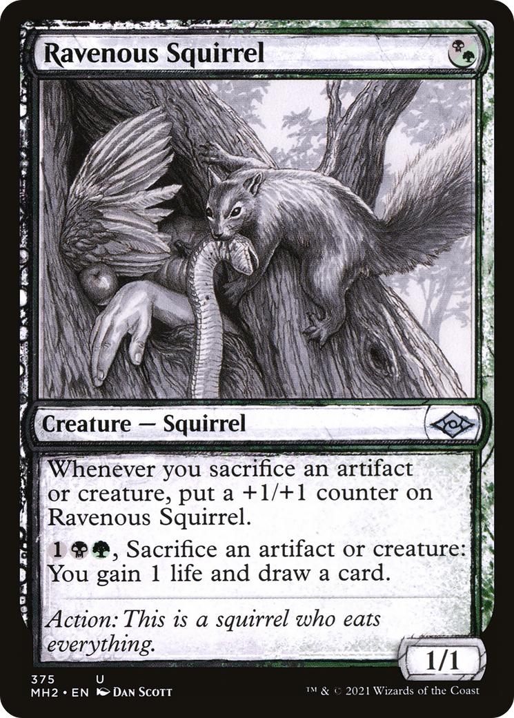 Ravenous Squirrel (Sketch) [Modern Horizons 2] | Silver Goblin