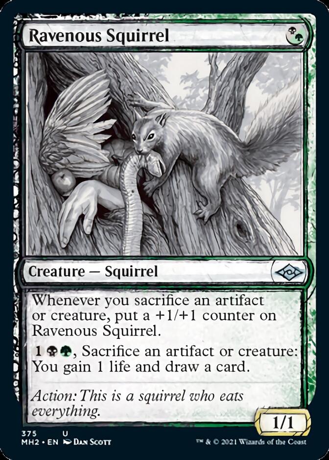 Ravenous Squirrel (Sketch) [Modern Horizons 2] | Silver Goblin