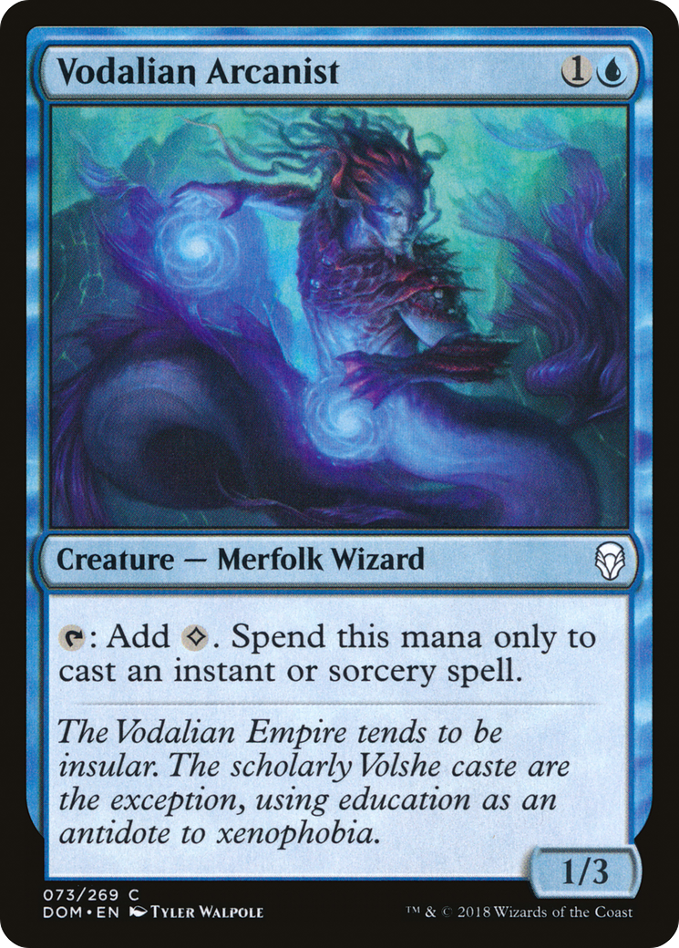 Vodalian Arcanist [Dominaria] | Silver Goblin