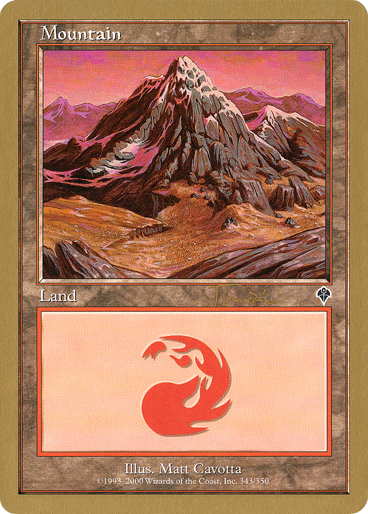 Mountain (343) - 2001 Jan Tomcani (MMQ) (Retro) - World Championship Decks 2001